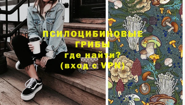 экстази Богородицк