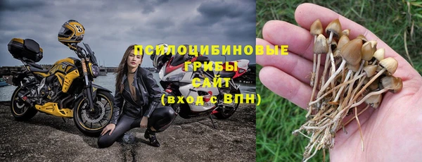 героин Богданович