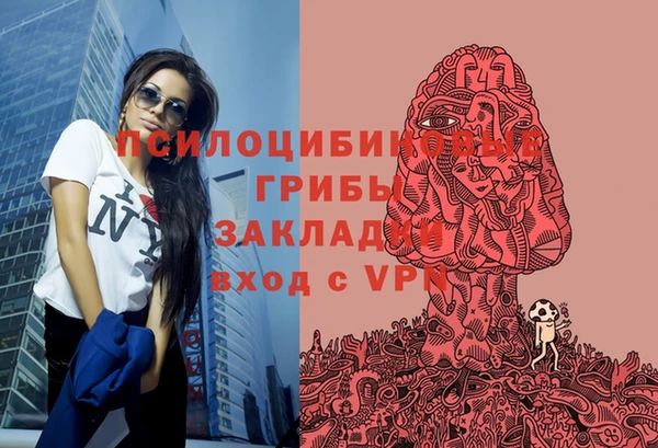 экстази Богородицк